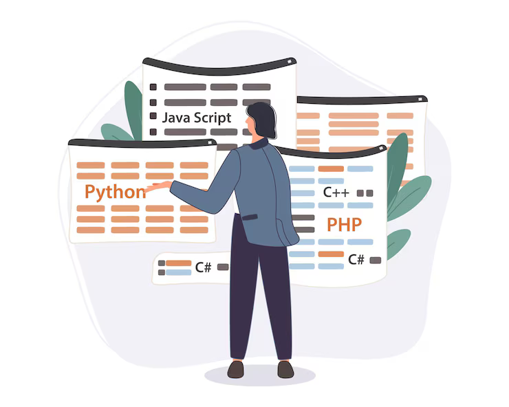 python developer hire